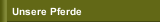 Unsere Pferde
