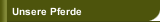 Unsere Pferde